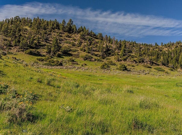 O'Rea Creek Road (Parcel 5), Livingston, MT 59047