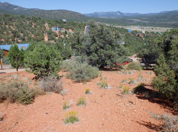 324 E Hillside CIR, Central, UT 84722