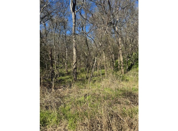 Lots 638. 639. 640 Kaukonahua LN, Bastrop, TX 78602