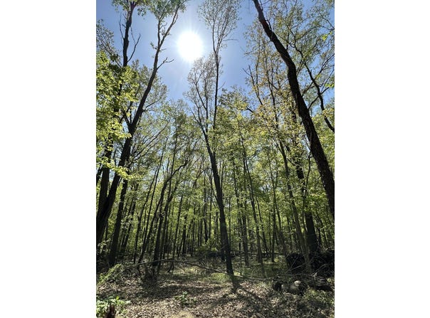 W Kirby Road, Battle Creek, MI 49017