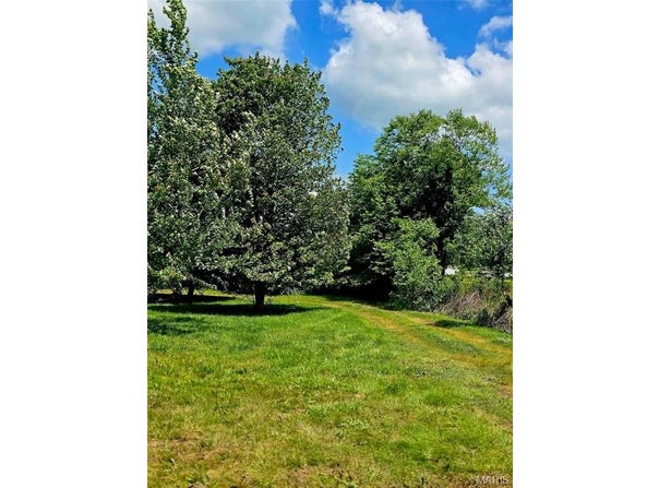 202 Ripley Route B, Naylor, MO 63953