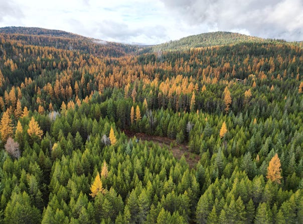 TBD SCHLEGEL RANCH LOT 11 RD, IONE, WA 99139