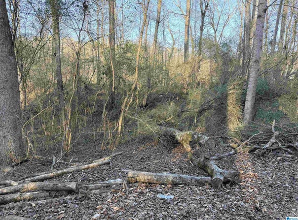 001 SCOTT ROAD lot: 0, CORDOVA, AL 35550