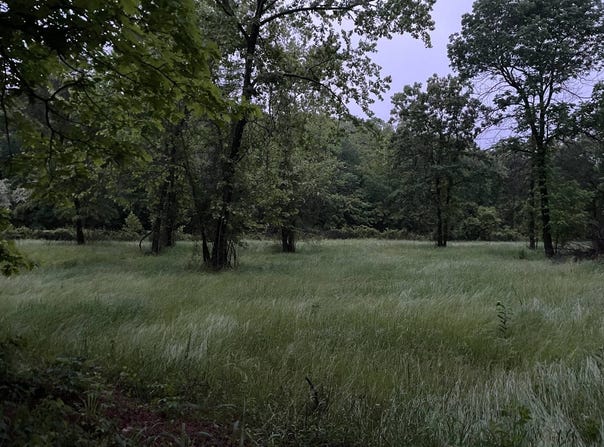Broken Bow Lane, Bismark, AR 71929