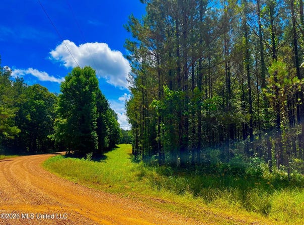 Arthur Drive, Brookhaven, MS 39601