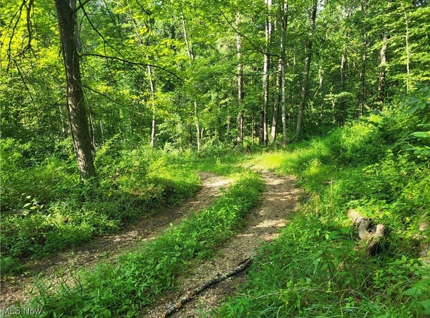 5855 Olney Run Road, Mcconnelsville, OH 43756