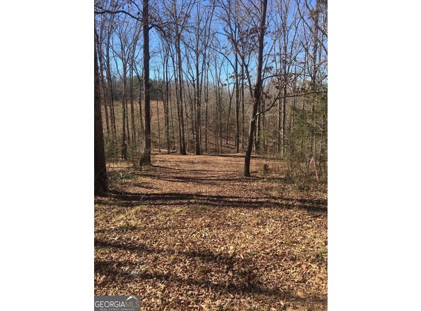 151 Sandy Springs, Athens, GA 30601