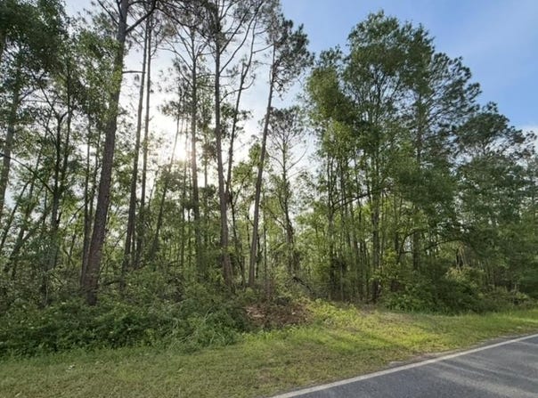 658 Taylor Springs Rd, Vidalia, GA 30474