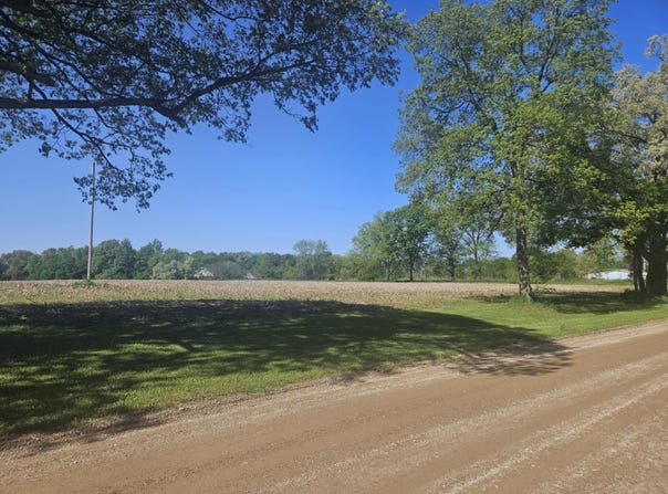 Jones Road, Bellevue, MI 49021