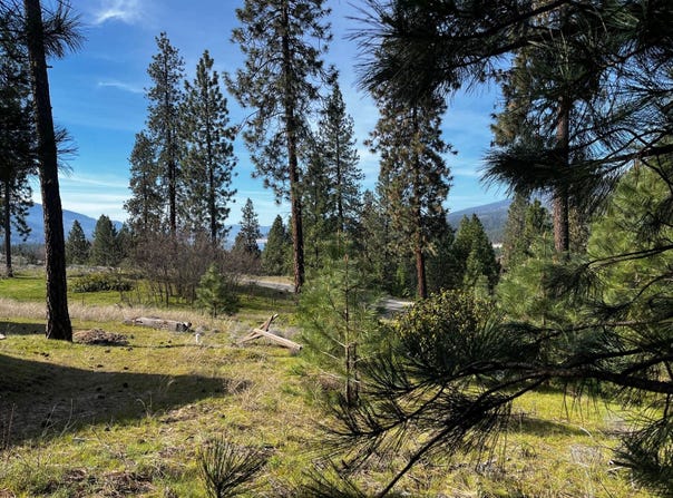 1390 LOOKOUT POINT WAY, KETTLE FALLS, WA 99141