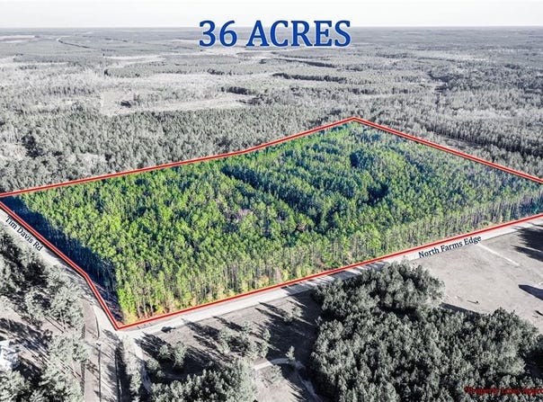 Farms Edge Road, Manor, GA 31552