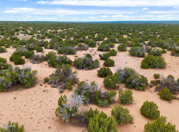 Witch Well Ranches lot: 3, St. Johns, AZ 85936