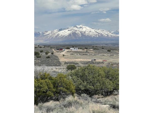 009 Grant Avenue, Spring Creek, NV 89815