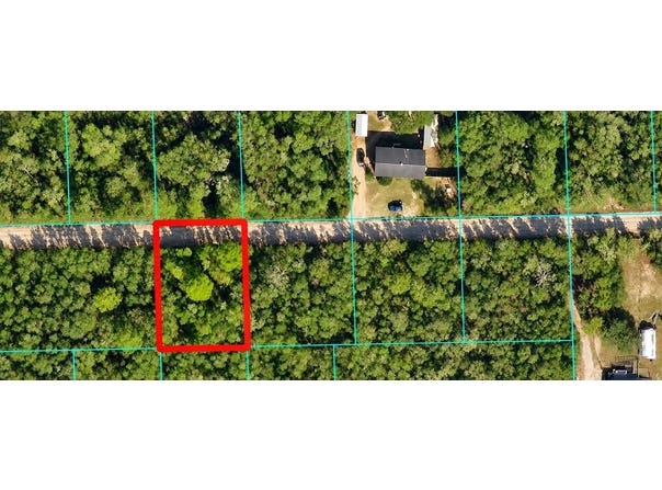 NE 233 LN, FORT MC COY, FL 32134