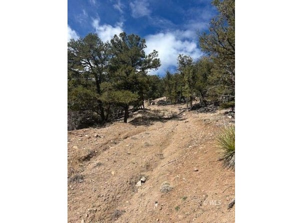 143 Ive Place, Cotopaxi, CO 81223