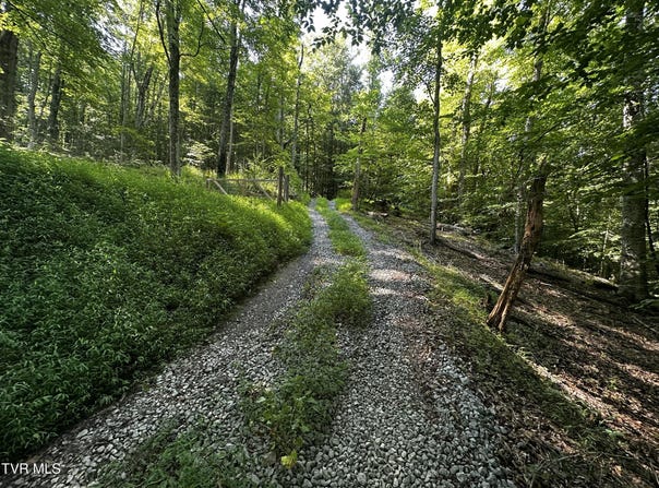 Tbd Clinch Mountain Road, Eidson, TN 37731