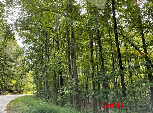 Wicomico Drive lot: 41, Heathsville, VA 22473