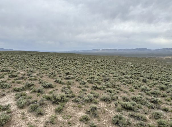 6.6 Acres Pine Street, Elko, NV 89801