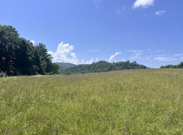 Brimstone Road, Robbins, TN 37852