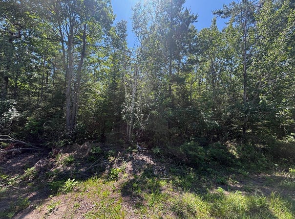 NHN Pineview Drive, Presque Isle, MI 49777