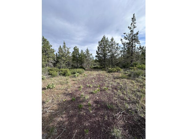 Porpoise Lane, Bonanza, OR 97623