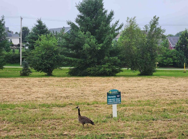 L127 Lucas Lane, Sun Prairie, WI 53590