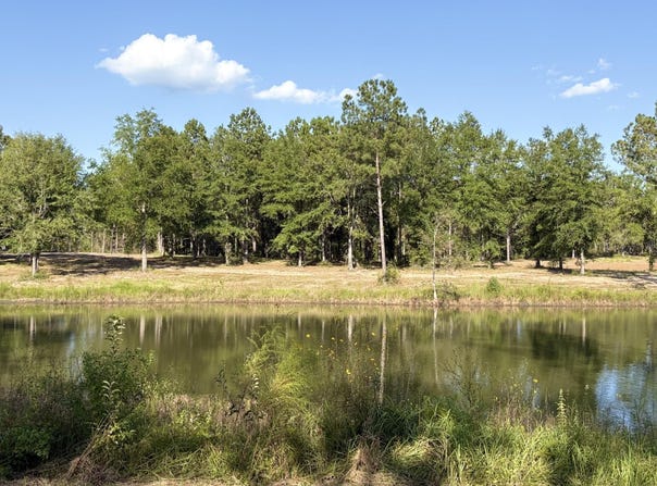 Sunfish Lane lot: 8, Lucedale, MS 39452