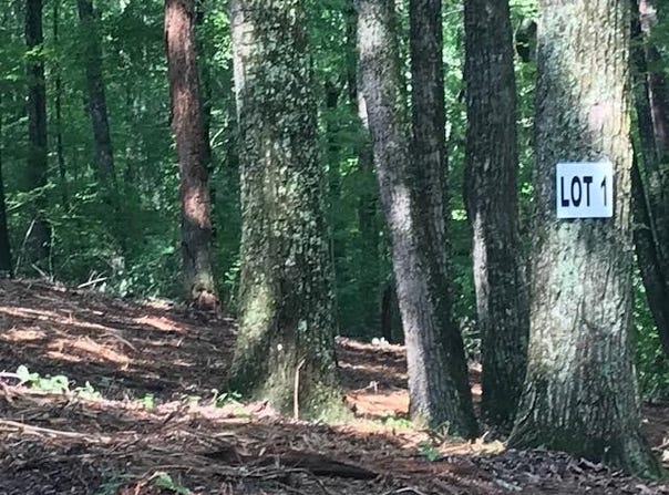 0 Piney Knob Drive, Spring City, TN 37381