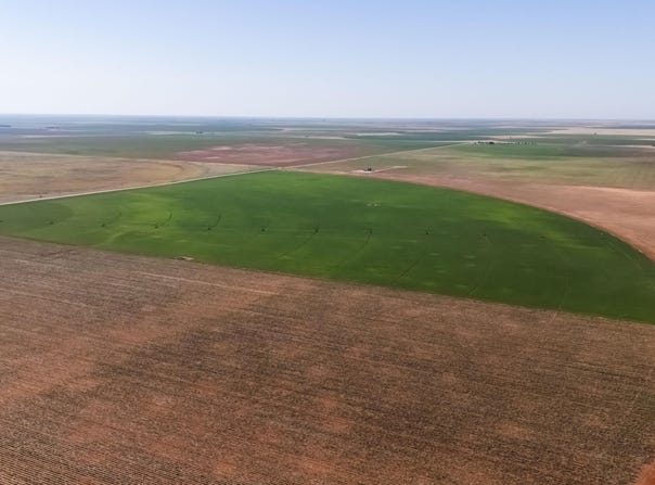 385 South us 385, Seagraves, TX 79359