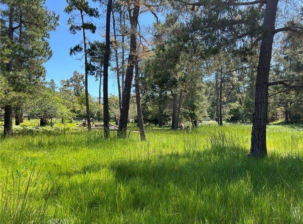Kenneth Drive, Cambria, CA 93428