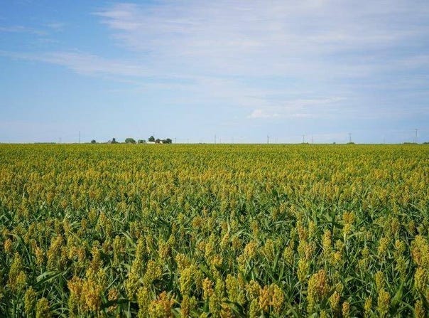 000 236 Rd, Offerle, KS 67563