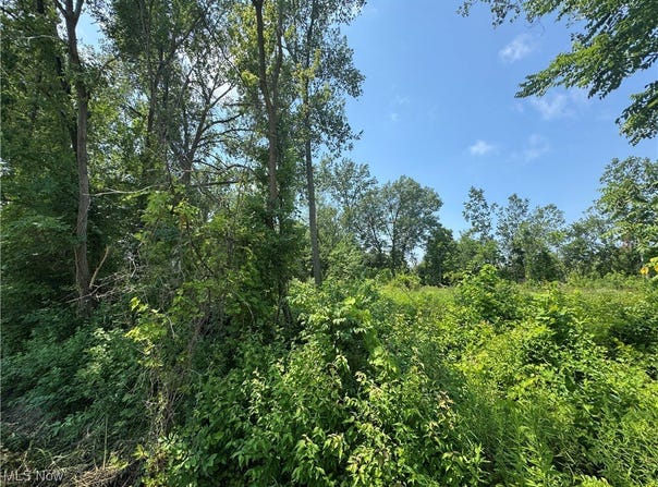 Denver Avenue, Lorain, OH 44055