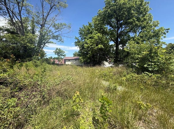 Lot 19 Second Street, Blue Ridge, GA 30513