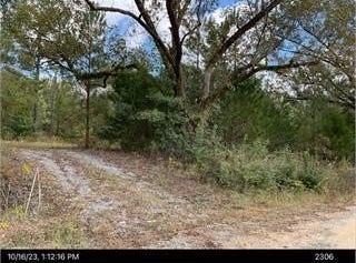 1300 Johns Golden, Milledgeville, GA 31061