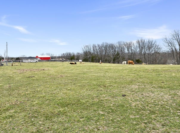 92 Pogue Drive, Fordland, MO 65652