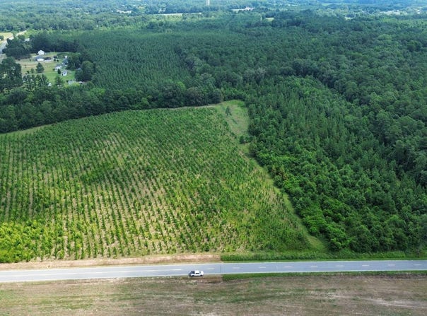 000 Brickyard Road, Wallace, SC 29512