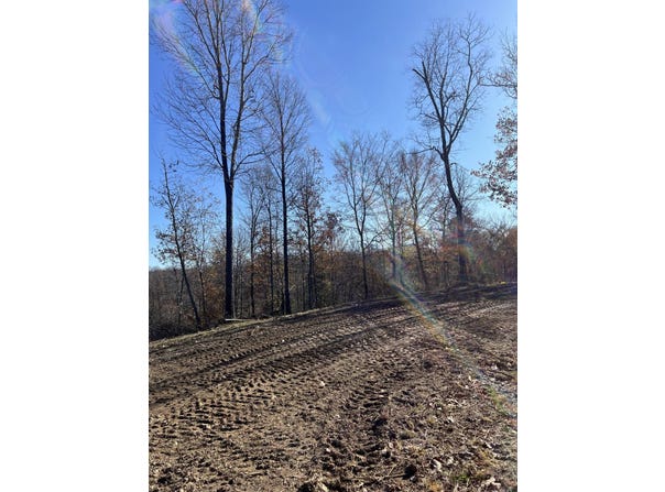 91 D  Rolling Hills Rd, Lobelville, TN 37097