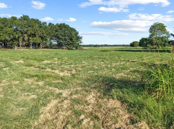 Tbd County Road 2131, Telephone, TX 75488