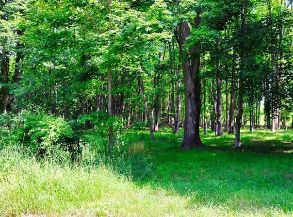 TBD DE TARS, CHARLEVOIX, MI 49720