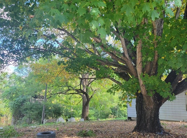 6237 OLD ROUTE 11, Dublin, VA 24084
