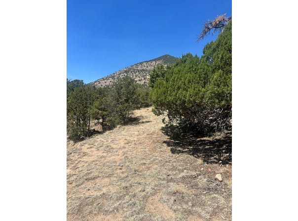54 Tanglewood, Datil, NM 87821