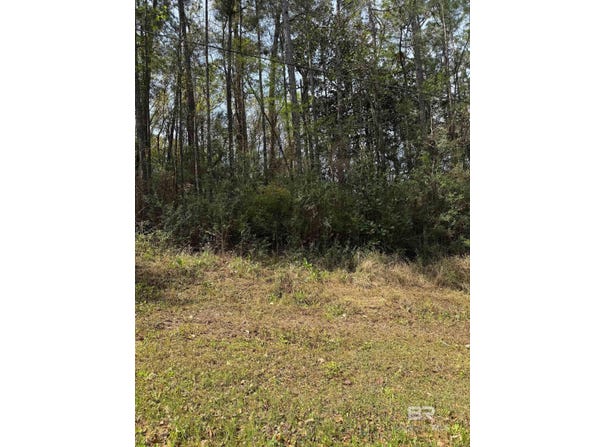 119 Woodside Drive, Daphne, AL 36526