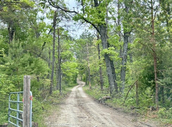 N Townline Road, Lewiston, MI 49756