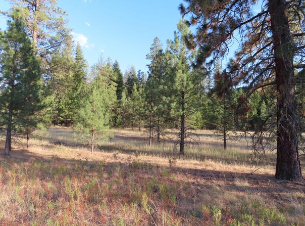 TORODA CREEK Rd, CURLEW, WA 99118