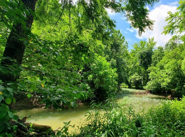 12251 E Wagner Road, Solsberry, IN 47459