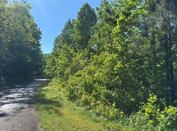 Lot 42 Meadow Brooke, Young Harris, GA 30582