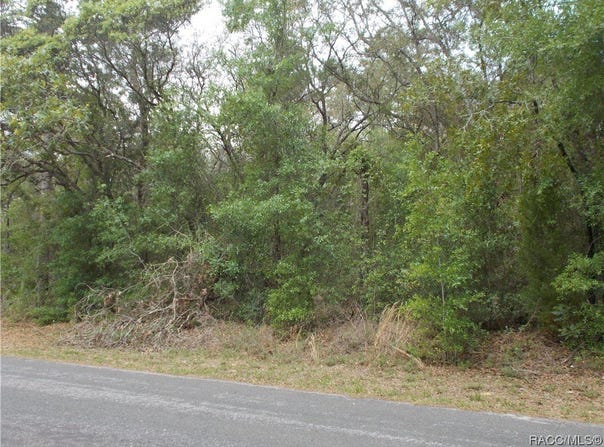 8 S EASY Street, Lecanto, FL 34461