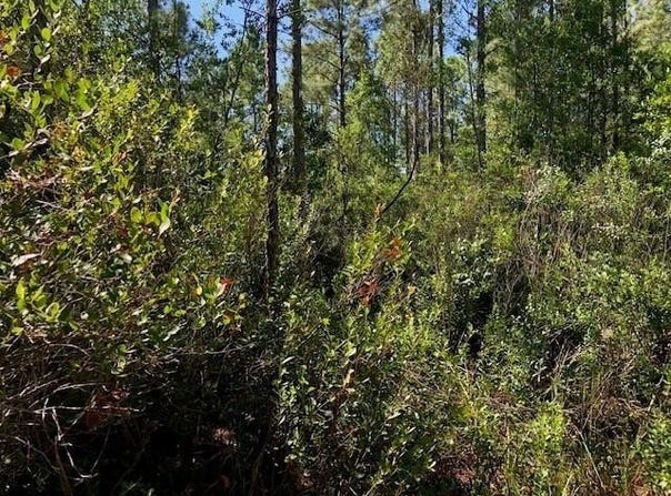 Old Grade Road, FL 33868