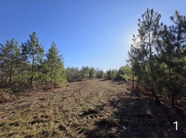 0 Chipola Rd, Slocomb, AL 36375