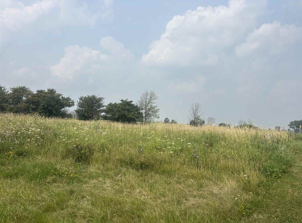 N9013 WILDFLOWER Lane, BRILLION, WI 54110